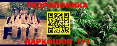 прущие крисы Кунгур